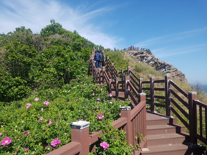 백령도