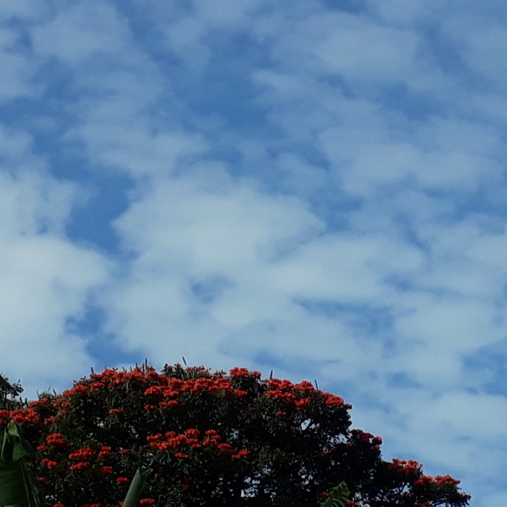 sky