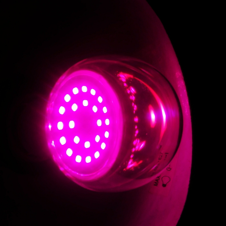 Pink lamp