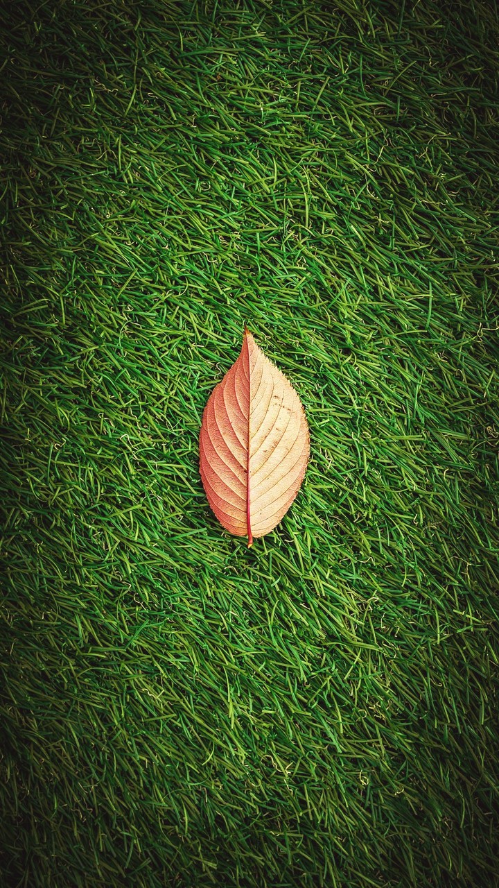 nurture