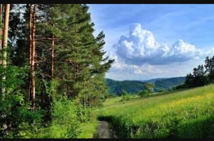 nature is biggest teacher