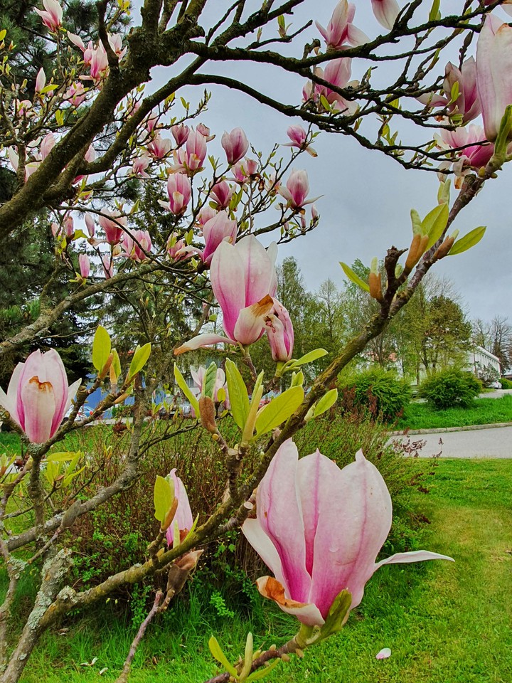spring time