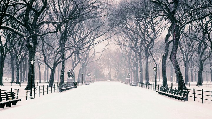 winter