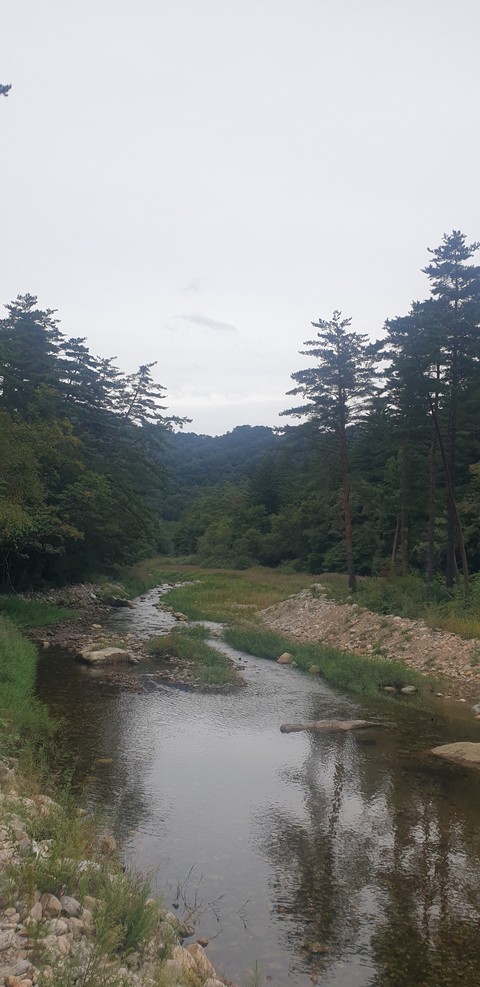 רקעים Wilderness, arroyo
