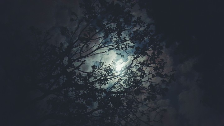 Dusk