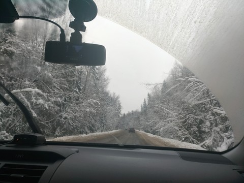 ταπετσαρίες tree, road