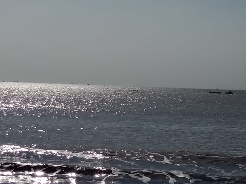 shimmering in the sea