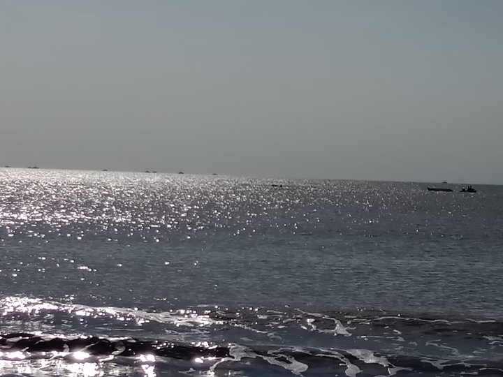 shimmering in the sea