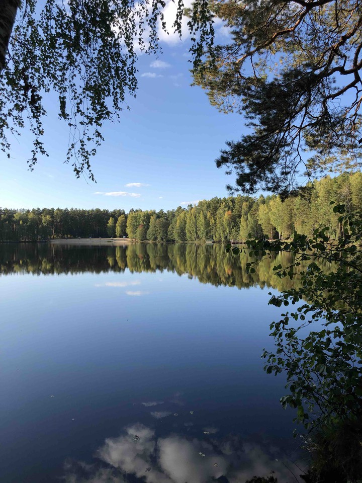 Осеннее озеро