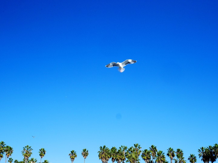 the sky