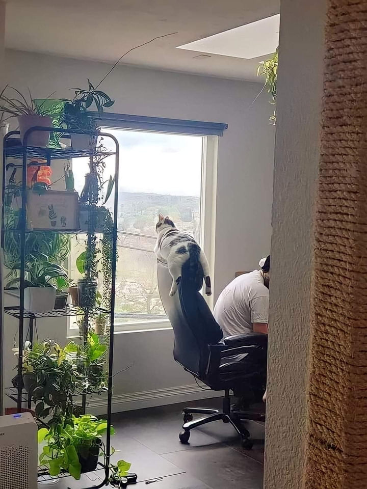 .
