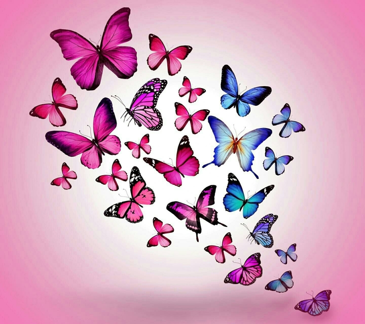 Butterflies......