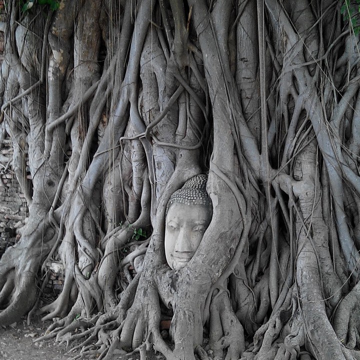 Thaïlande