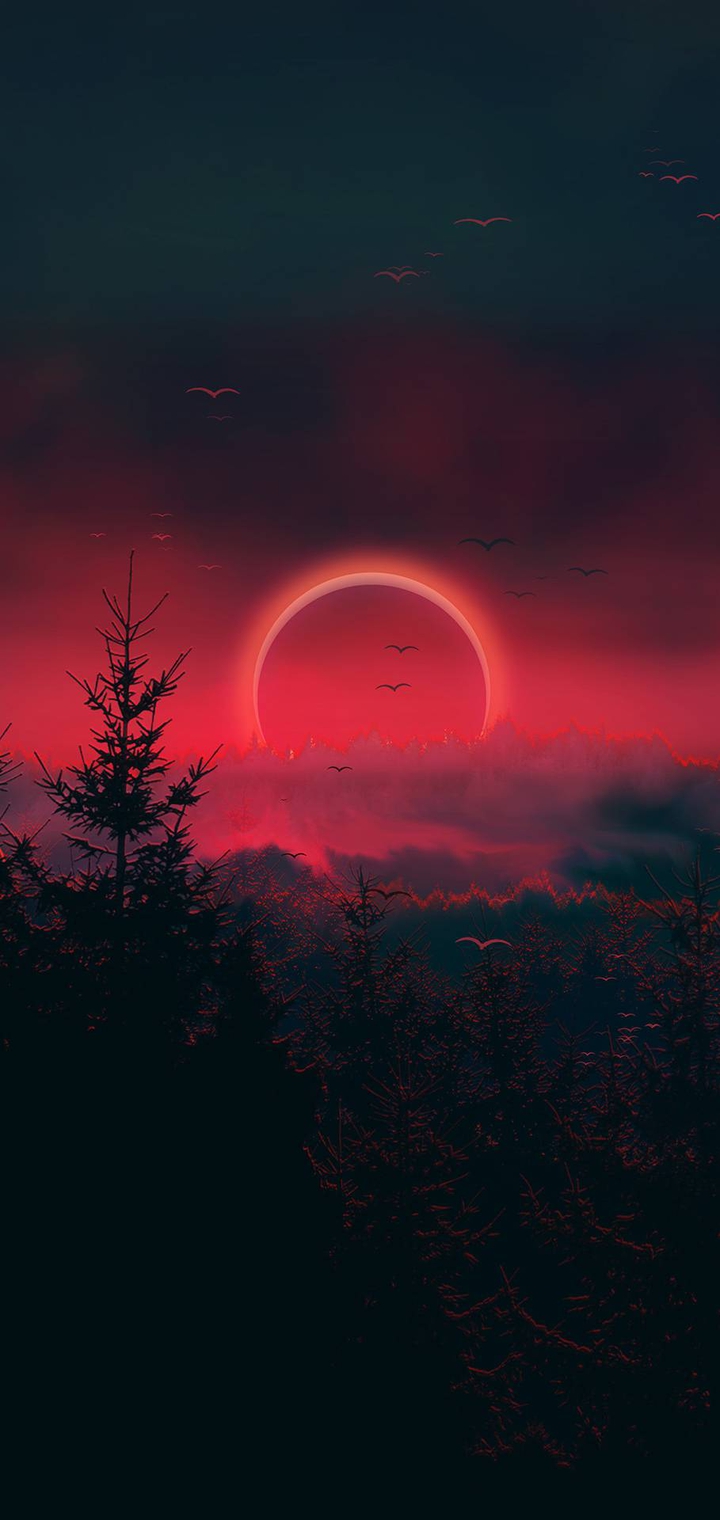 photos require a little bit of editing