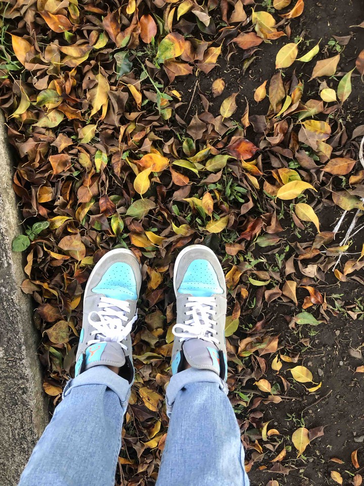 October-September. ☄️?