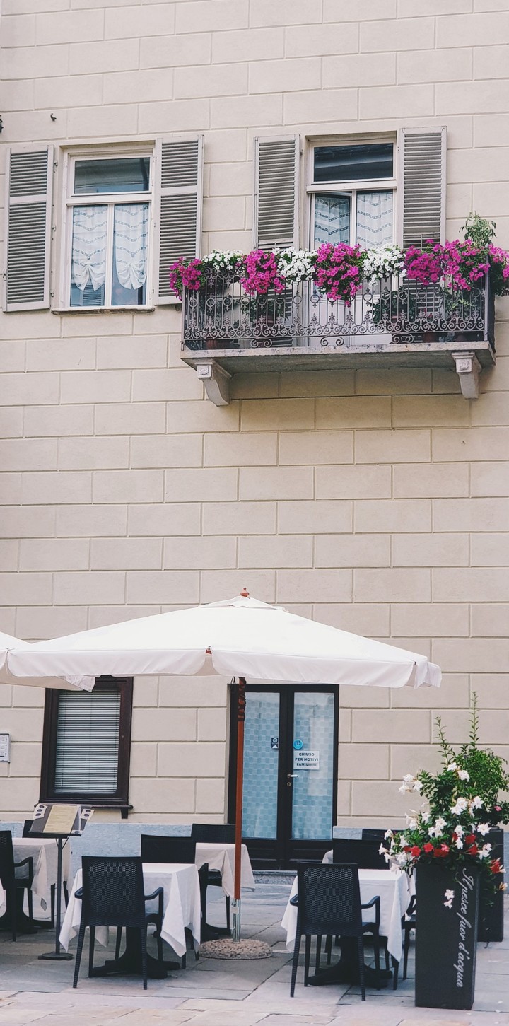 windows of flowers