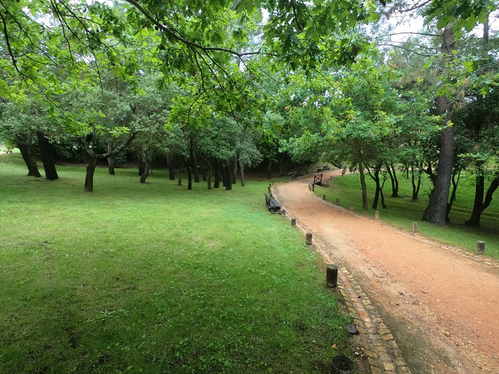 Nature