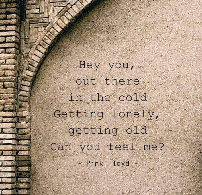 Hey you ???