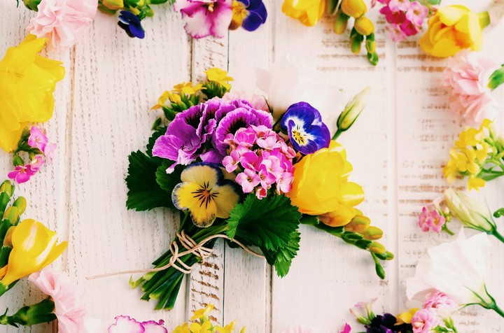 beautiful flower