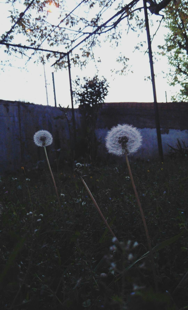 night