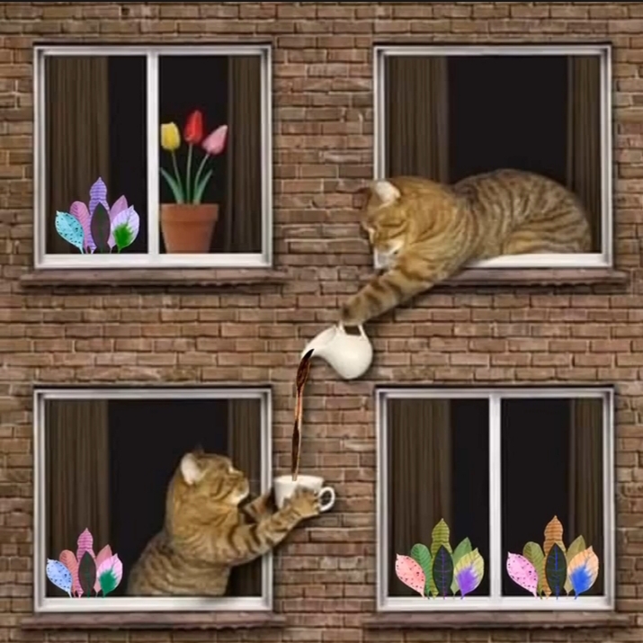 Cat's