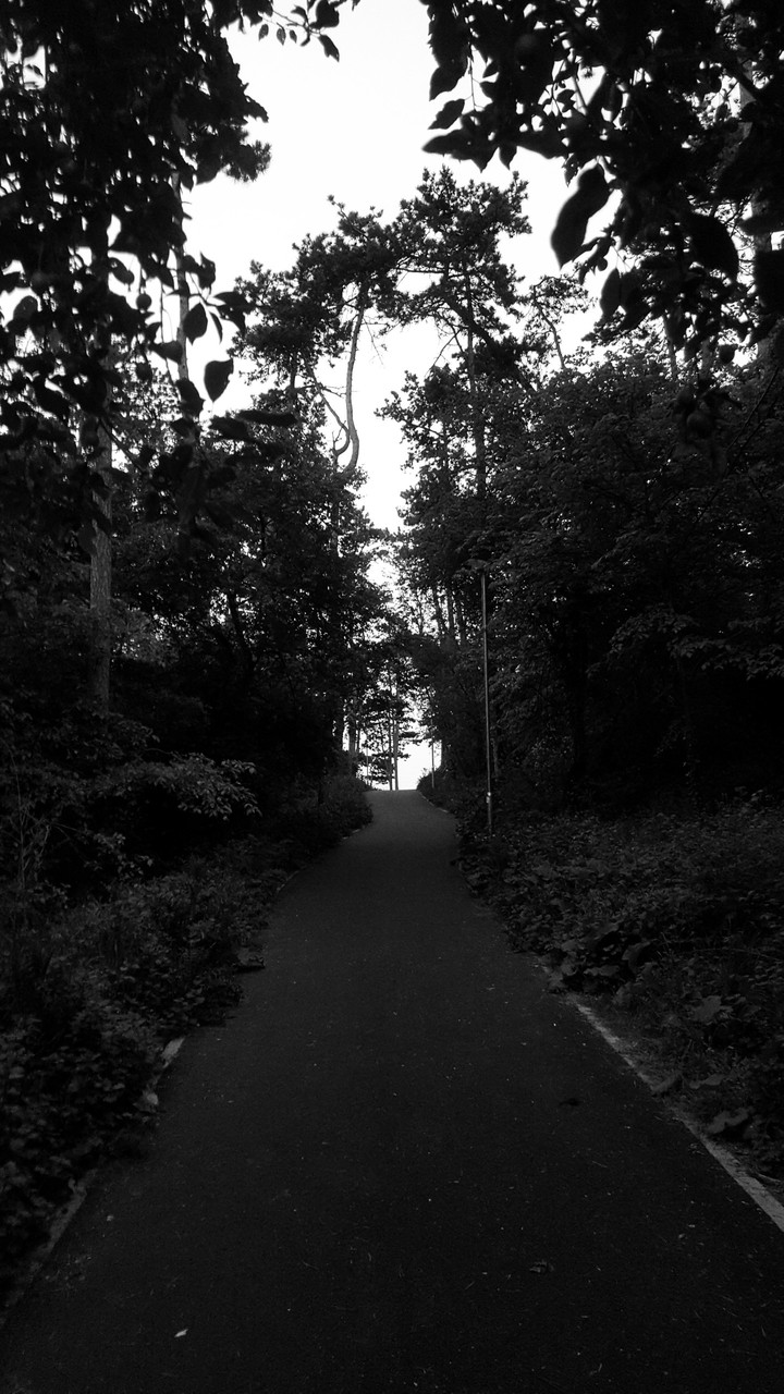 walking