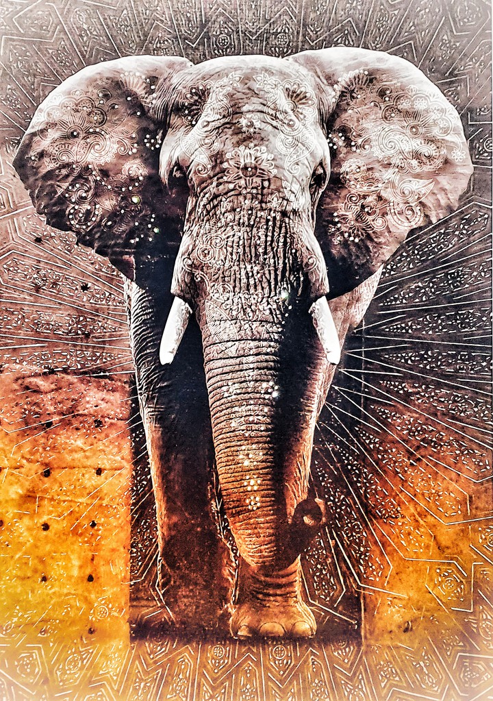 Elefant