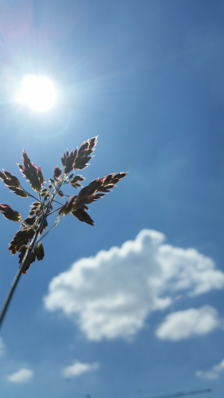 sunny day