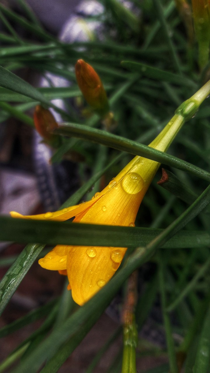 beauty of nature