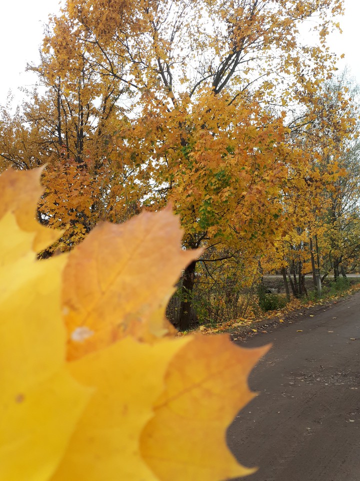 осень