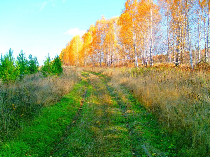 Осеннее настроение