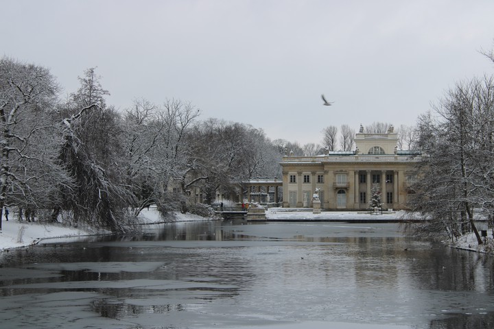 Winter