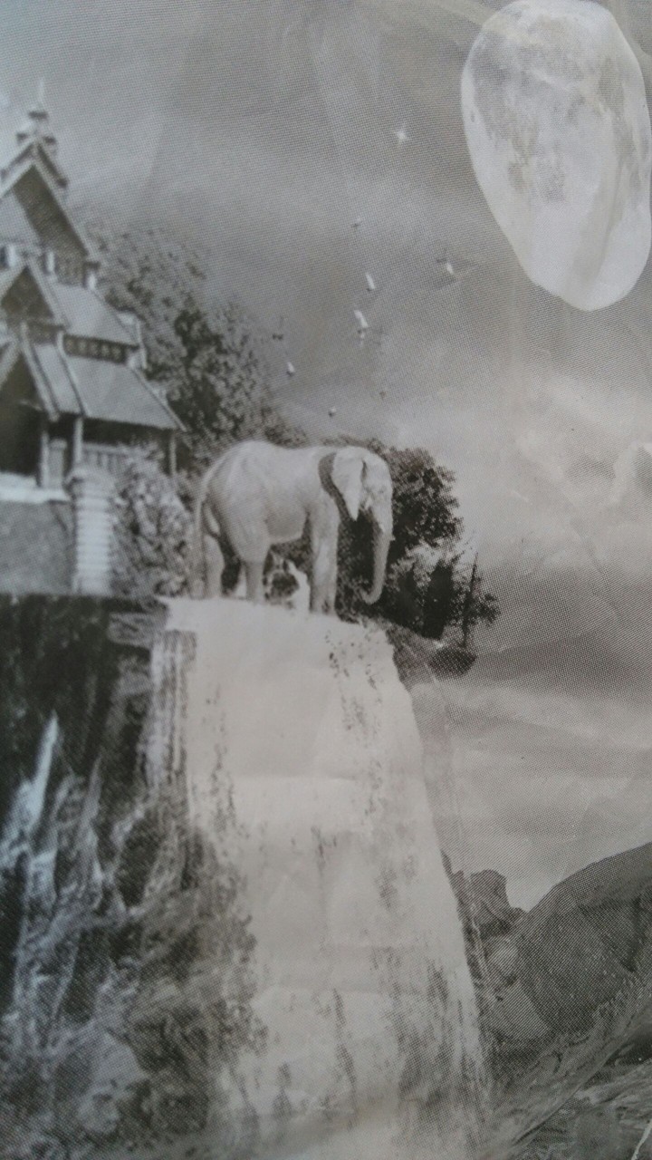 elephant