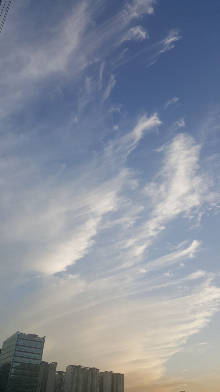soft sky