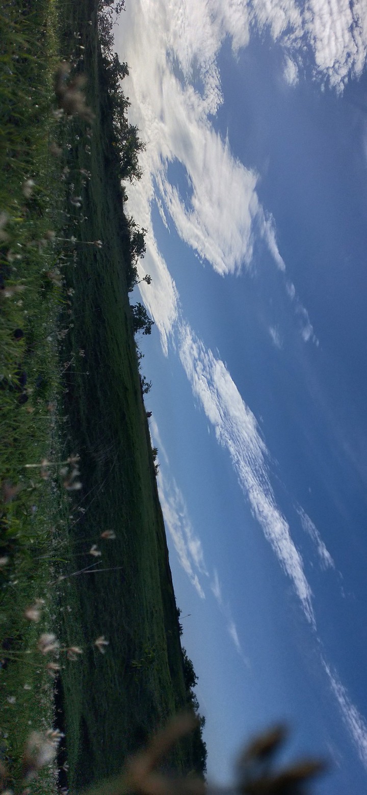 windows wallpaper