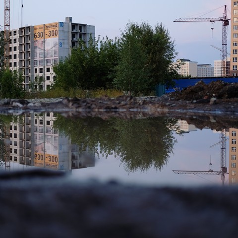 reflection