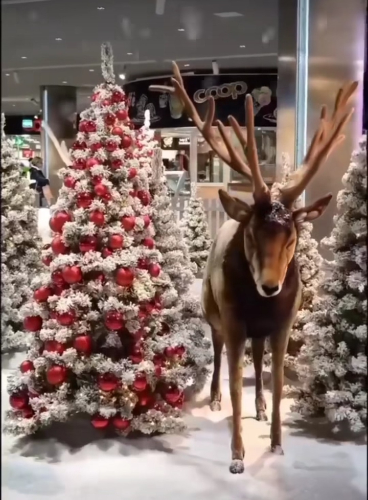 .