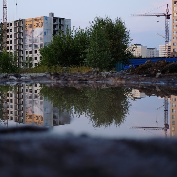 reflection