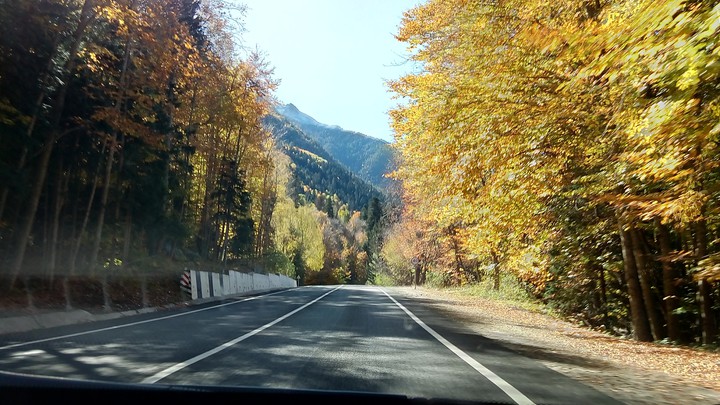 дорога