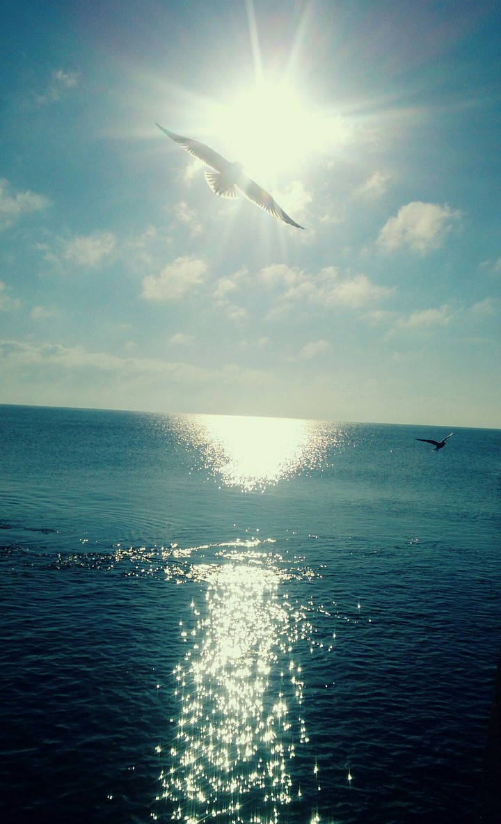 море в Феодосии, Крым