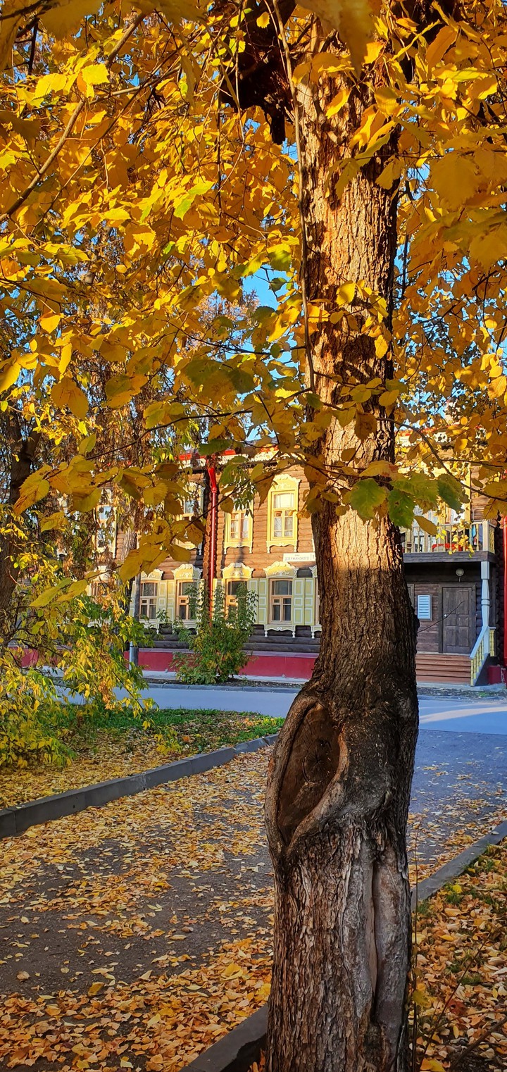 осень