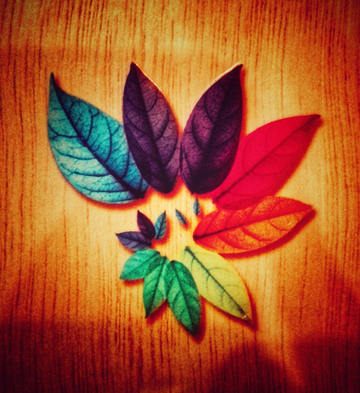 colourful leaves