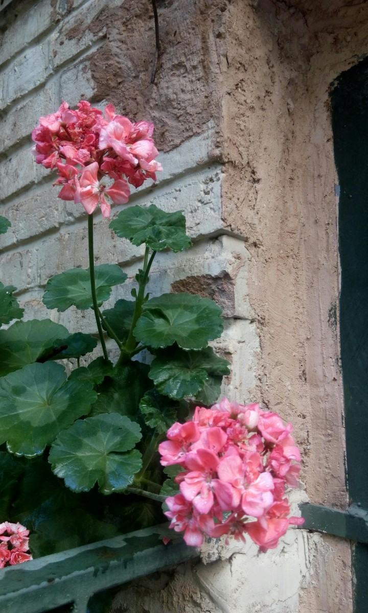 beside the wall