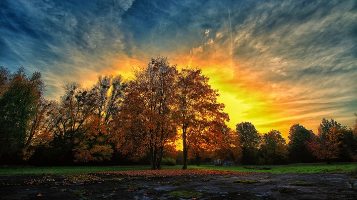 Autumn Sunset