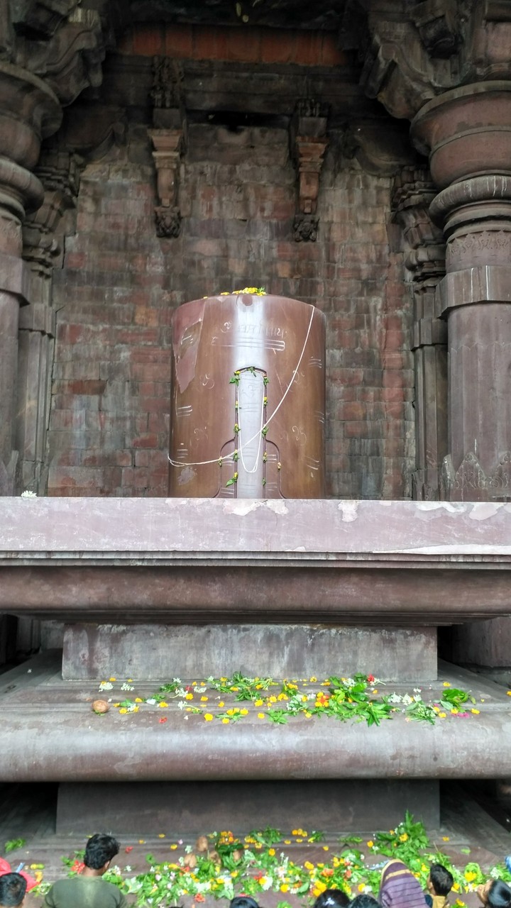 bhojpur temple