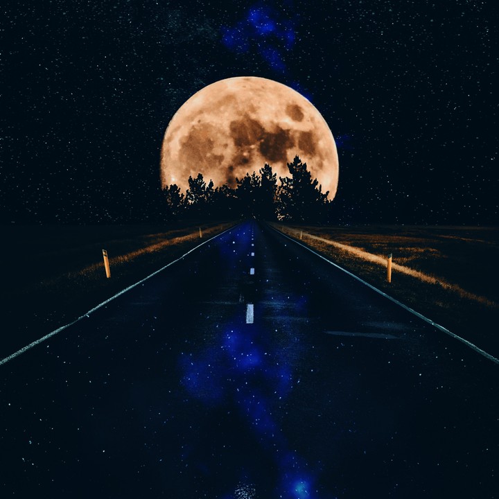 vj
