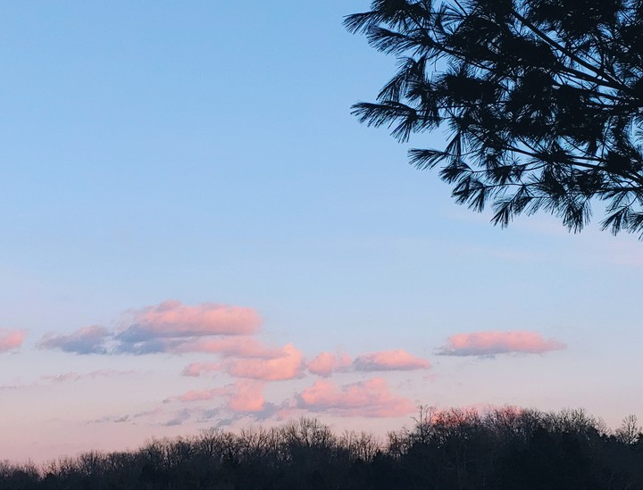 pink clouds