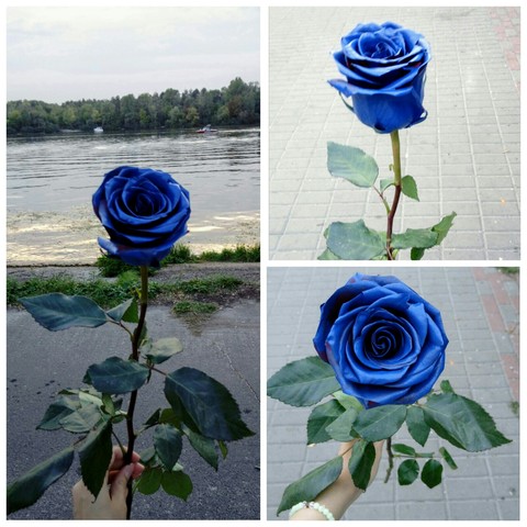 lovely dark blue..^_^