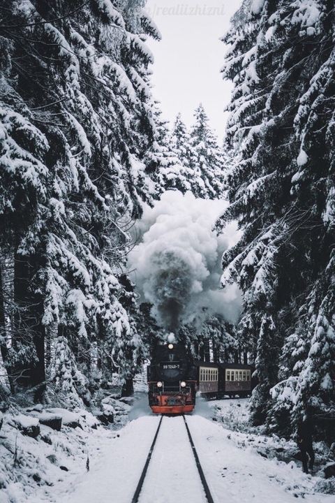 зима ❄ ❤️