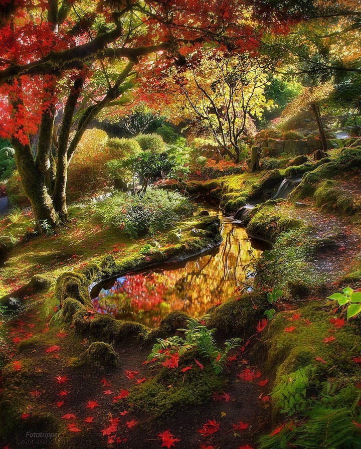 wellspring